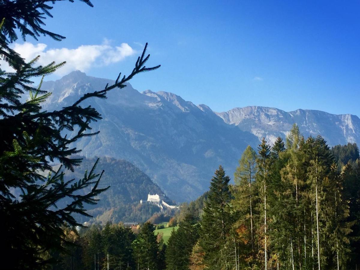 Pension Vocario Пфаррверфен Экстерьер фото