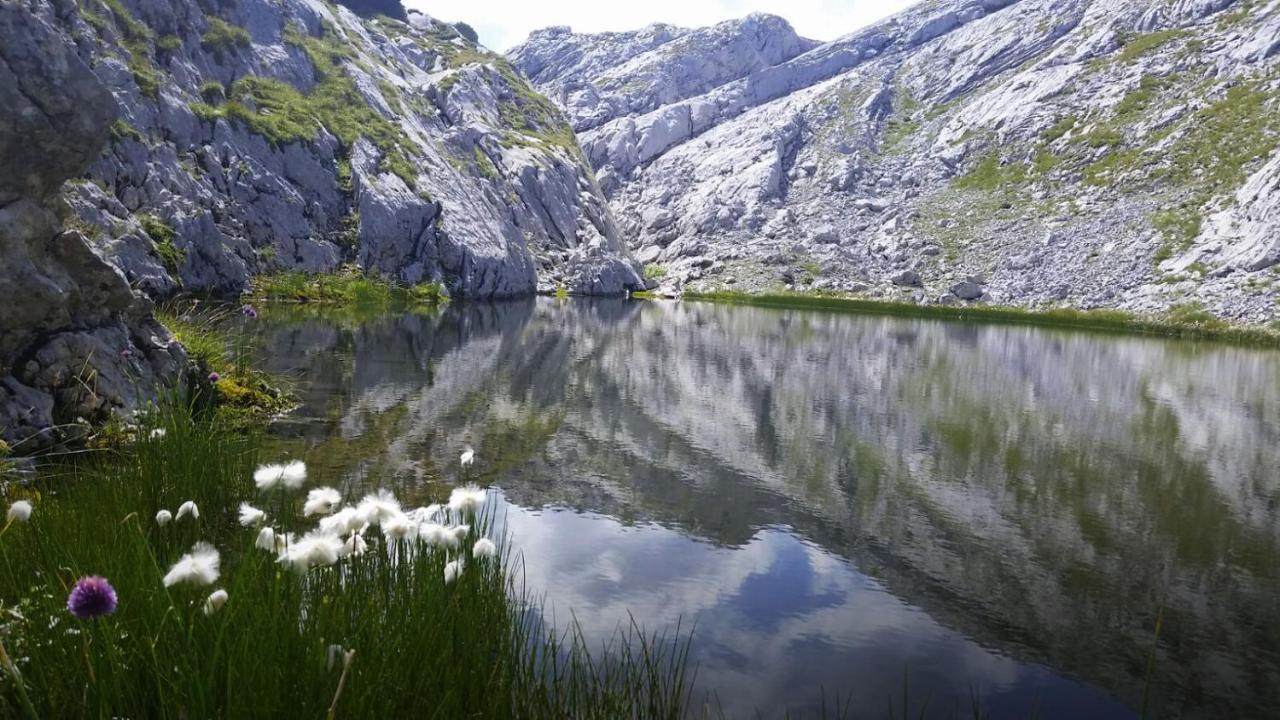 Pension Vocario Пфаррверфен Экстерьер фото